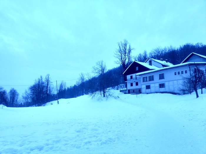 slika