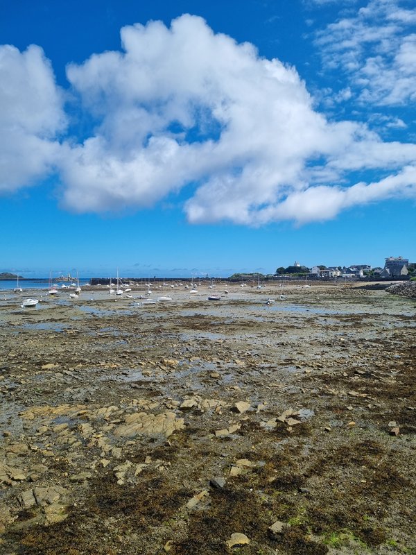 roscoff2